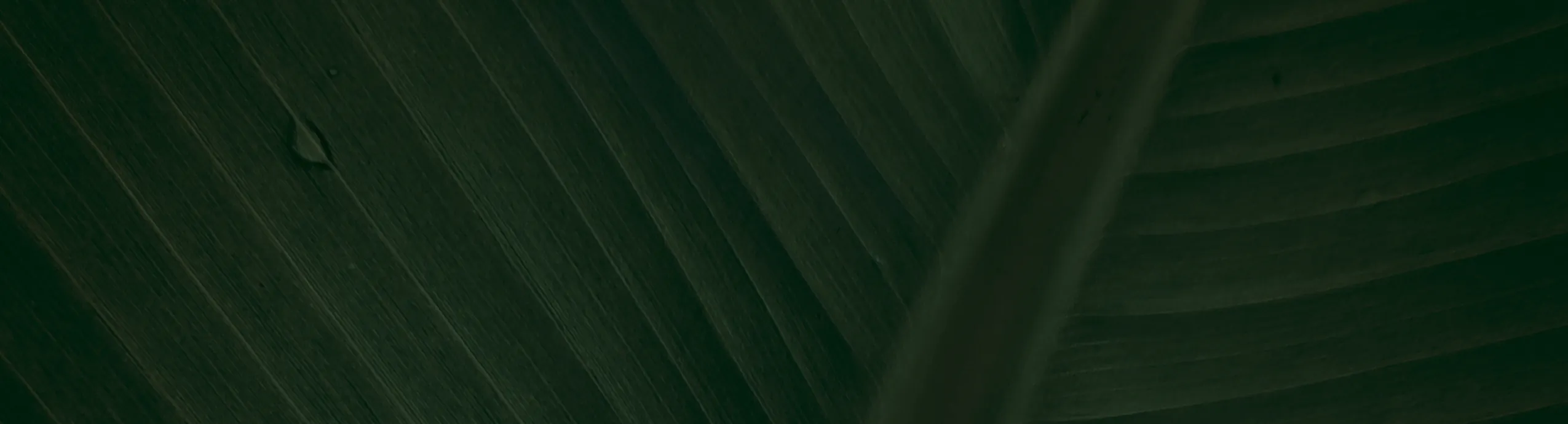 A-GUSTO Anale Plug en Anale Ketting Siliconen Zwart