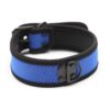 A-GUSTO Neopreen Puppyhalsband Verstelbaar Blauw