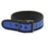 A-GUSTO Neopreen Puppyhalsband Verstelbaar Blauw