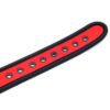 neoprene-puppy-collar-adjustable-red (5) A-GUSTO Neopreen Puppyhalsband Verstelbaar Rood