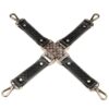 LOVETOY Rebellion Reign Hogtie Set
